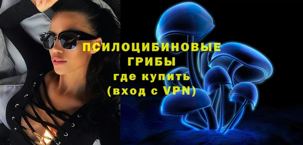 МДПВ Волоколамск
