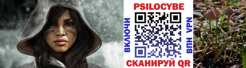 Галлюциногенные грибы Psilocybe  мега ТОР  Выборг 