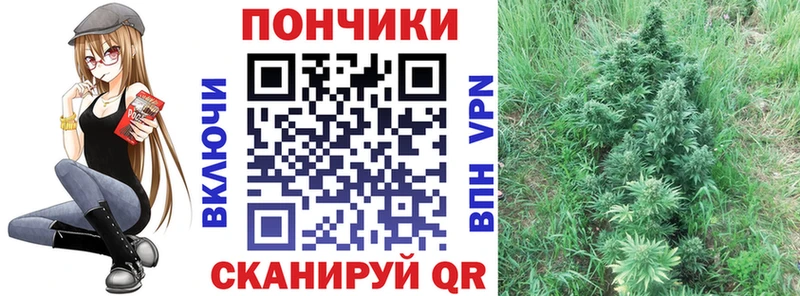 МАРИХУАНА LSD WEED  купить   Выборг 